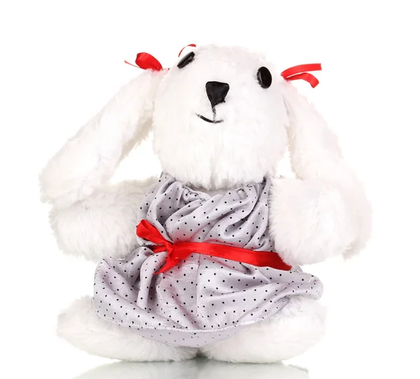 Leksak bunny isolerad på vit — Stockfoto