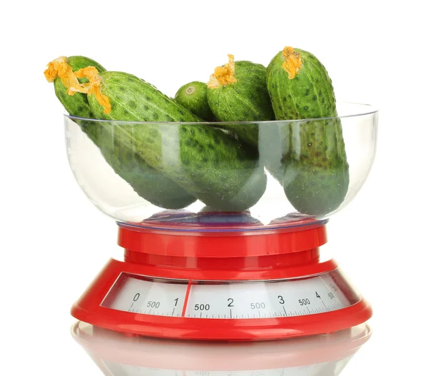 Bir mutfakta taze salatalık ölçekler üzerinde izole beyaz — Stok fotoğraf