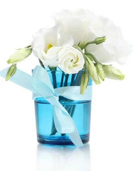 Prachtige Lentebloemen in blauwe vaas geïsoleerd op wit — Stockfoto