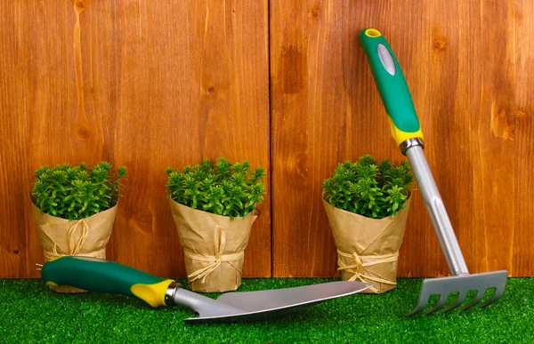 Herramientas de jardinería sobre fondo de madera — Foto de Stock