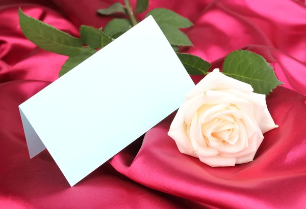 Красивая роза на красной ткани — стоковое фото