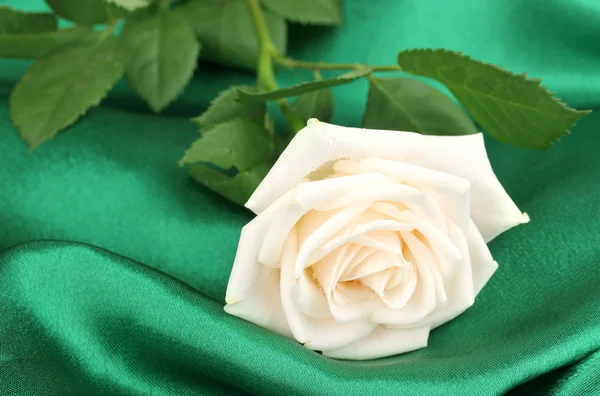 Όμορφο τριαντάφυλλο σε πράσινο ύφασμα — Φωτογραφία Αρχείου