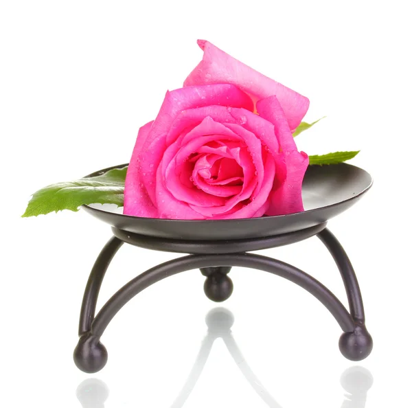 Piękna róża na metalowy stojak na białym tle — Zdjęcie stockowe