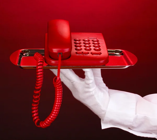 Main dans le gant tenant plateau d'argent avec téléphone sur fond rouge — Photo