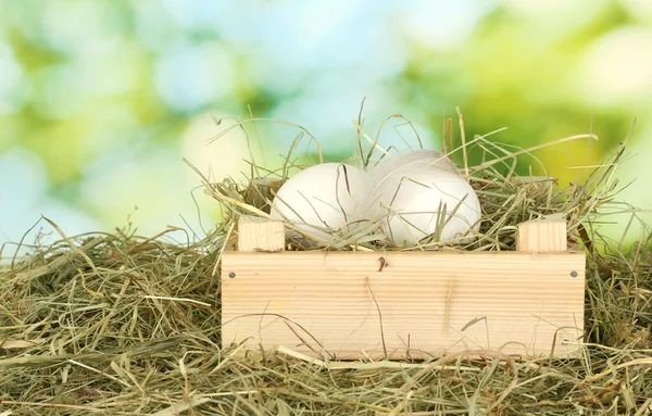 Vita ägg i en trälåda på hö på grön bakgrund närbild — Stockfoto