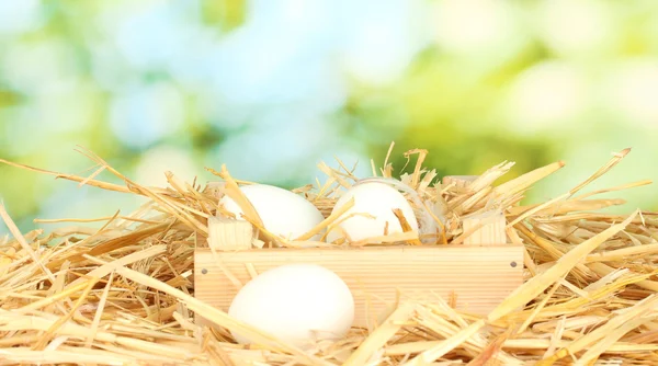 Weiße Eier in einer Holzkiste auf Stroh auf grünem Hintergrund Nahaufnahme — Stockfoto