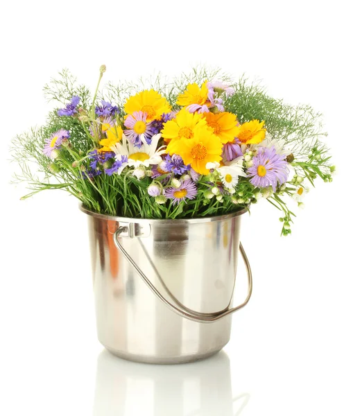 Beautiful bouquet of bright wildflowers in bucket, isolated on white — Stock Photo, Image