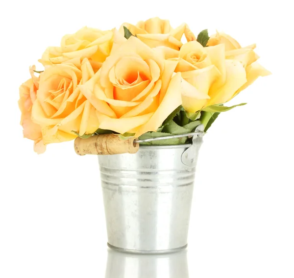 Beautiful bouquet of roses in bucket isolated on white — Stock Photo, Image