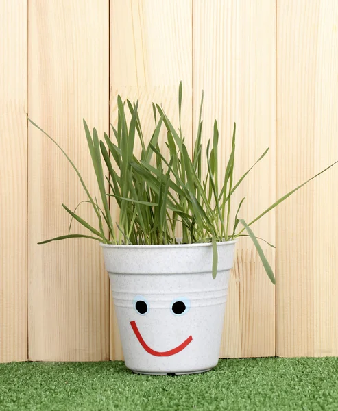 Een pot van gras op houten achtergrond — Stockfoto