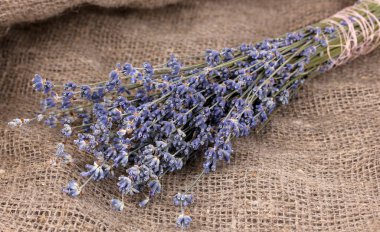 Lavender flowers on sackcloth