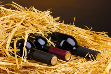 Bottles of great wine on hay on brown background clipart