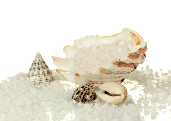 Sal marina con conchas aisladas en primer plano blanco —  Fotos de Stock