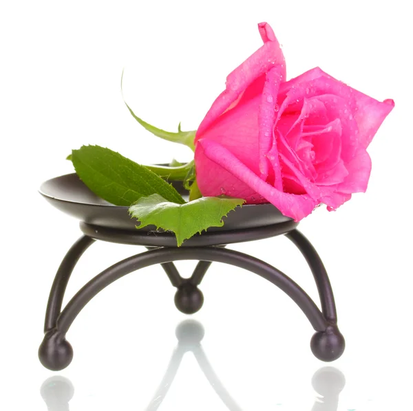 Mooie roos op metalen voet geïsoleerd op wit — Stockfoto