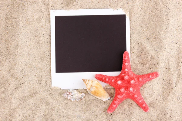 Foto dengan kerang laut dan bintang laut di atas pasir — Stok Foto
