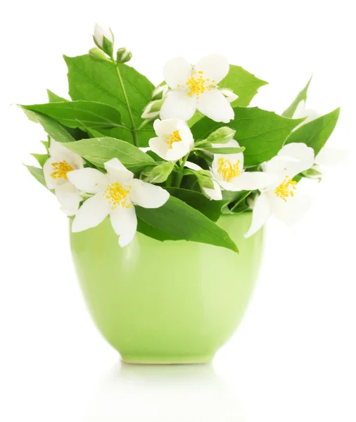 Όμορφα λουλούδια γιασεμί σε πράσινο βάζο που απομονώνονται σε λευκό — Φωτογραφία Αρχείου