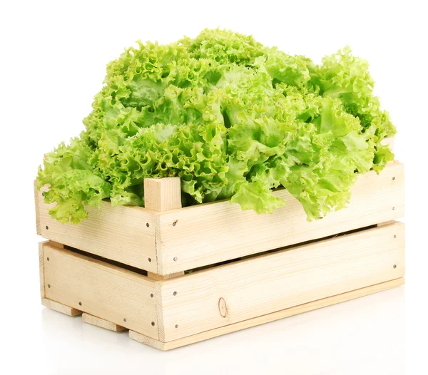 Friss saláta láda elszigetelt fehér — Stock Fotó