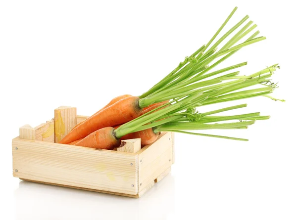 Морковь в ящике изолированы на белом — стоковое фото