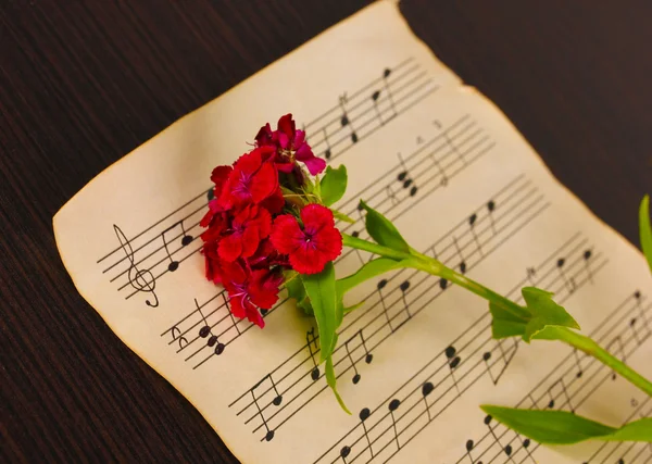 음악 노트와 꽃 나무 테이블에 — 스톡 사진