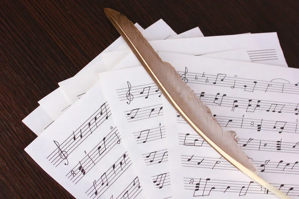 Notas musicales y plumas sobre mesa de madera —  Fotos de Stock