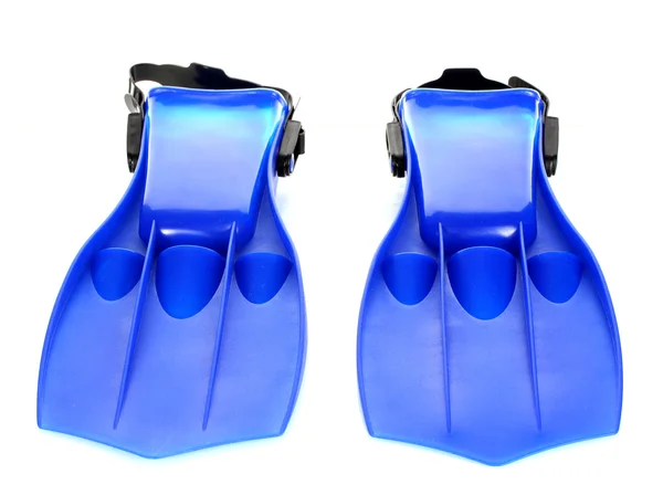 Nadadeiras azuis isoladas em branco — Fotografia de Stock