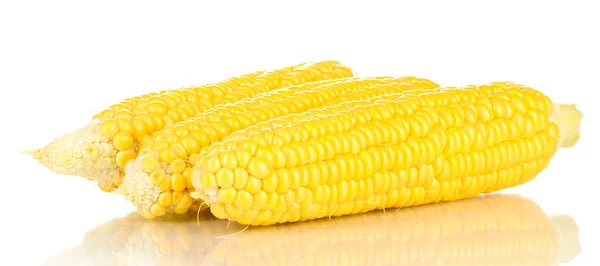 Kolby świeżych kukurydzy na białym tle — Zdjęcie stockowe