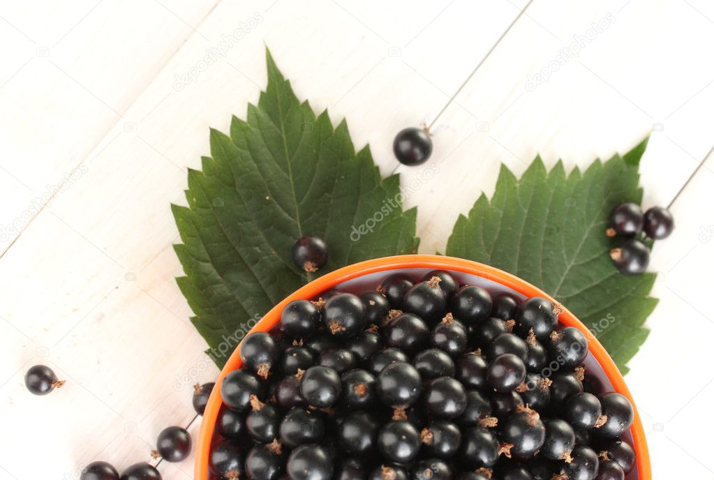 Fresh black currant in colorful bowl on white wooden background close-up