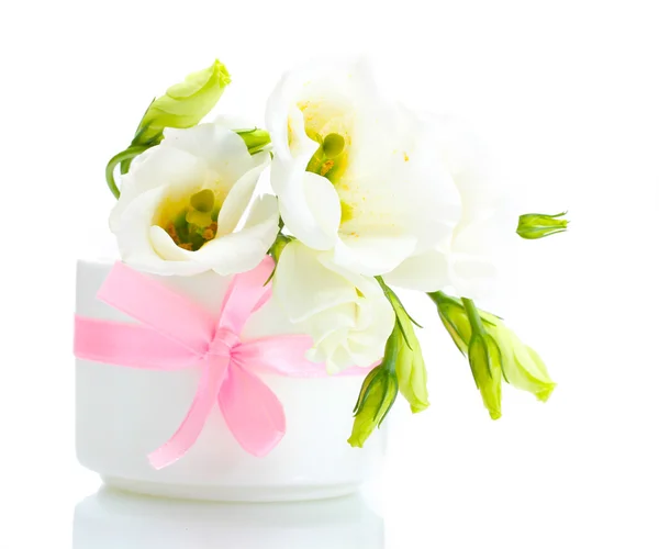 Hermosas flores de primavera en jarrón aislado en blanco —  Fotos de Stock