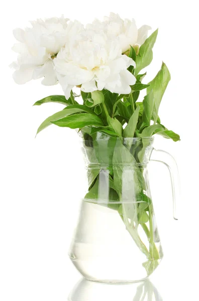 Όμορφο λευκό peonies σε γυάλινο βάζο με τόξο που απομονώνονται σε λευκό — Φωτογραφία Αρχείου