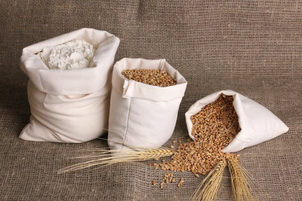 Farina e chicco di grano su sacco — Foto Stock