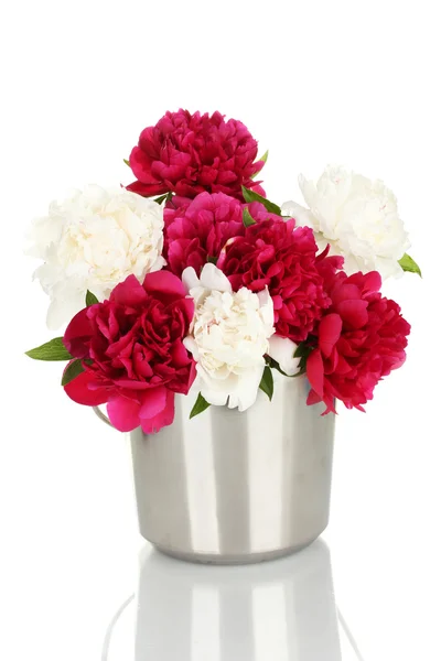 Mooie roze en witte pioenrozen in emmer geïsoleerd op wit — Stockfoto