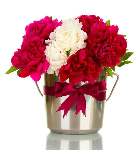 Piękne różowe i białe Peonie w wiaderku z kokardą na białym tle — Zdjęcie stockowe