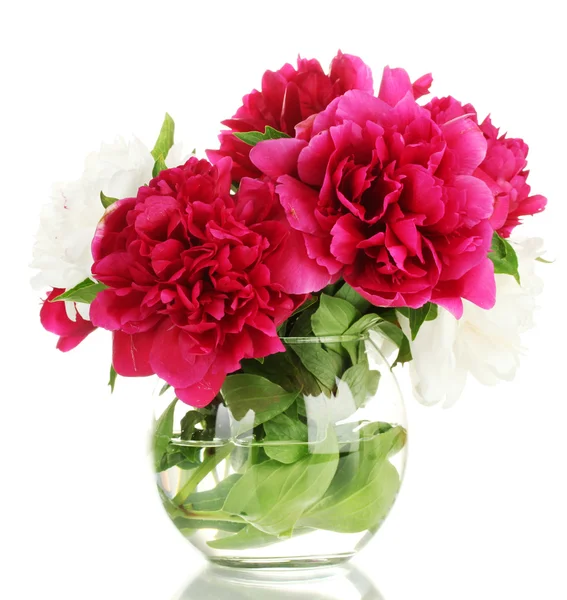 Beautiful pink peonies in glass vase isolated on white — Stock Photo, Image