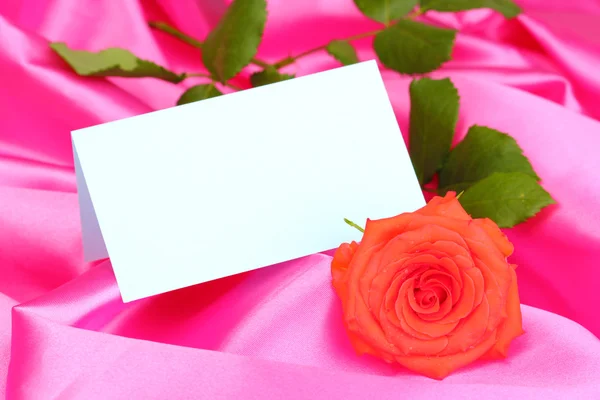 Hermosa rosa sobre tela rosa — Foto de Stock