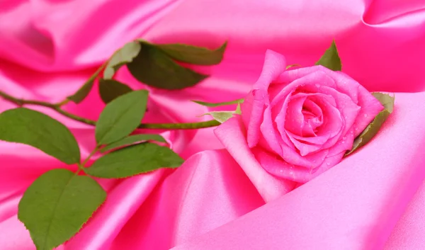 Bela rosa em pano rosa — Fotografia de Stock