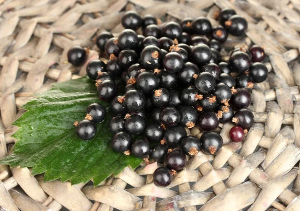 stock image Fresh black currant on wicker mat close-up