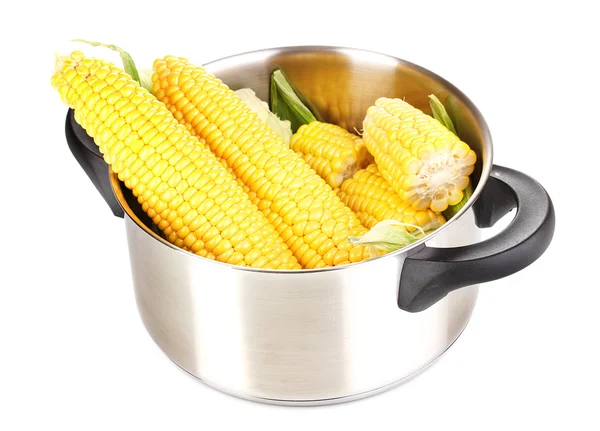 Fresh corn cobs in pot isolated on white — Stock Photo, Image
