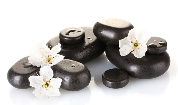 Μαύρο spa πέτρες, με λουλούδια και τα πέταλα που απομονώνονται σε λευκό close-up — Φωτογραφία Αρχείου