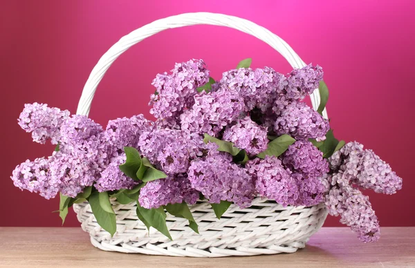 Belas flores lilás na cesta no fundo vermelho — Fotografia de Stock