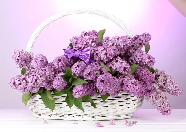 Όμορφη ιώδη λουλούδια στο καλάθι σε μοβ φόντο — Φωτογραφία Αρχείου