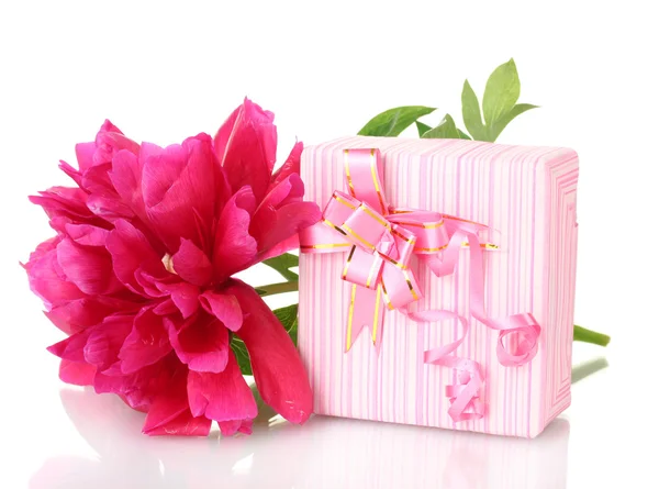 美しいピンクのギフトと牡丹の花白で隔離されます。 — ストック写真