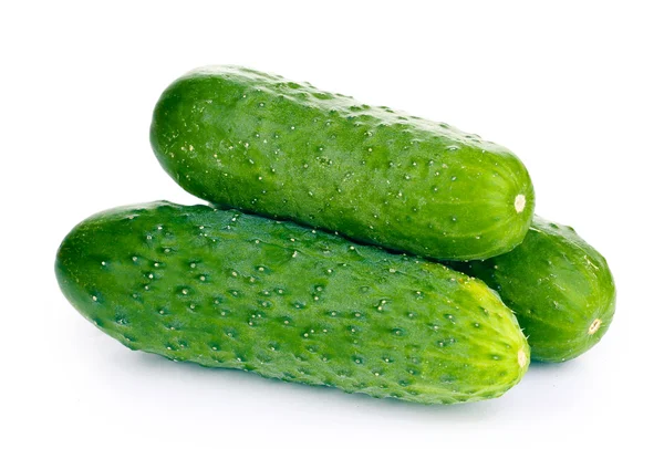 Verse komkommers geïsoleerd op wit — Stockfoto