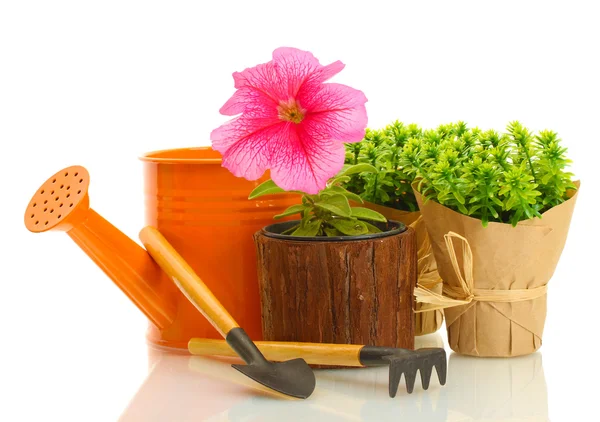 Konewka, narzędzia i rośliny doniczka na białym tle — Zdjęcie stockowe