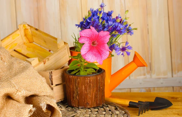 Gieter, tools en bloemen op houten achtergrond — Stockfoto