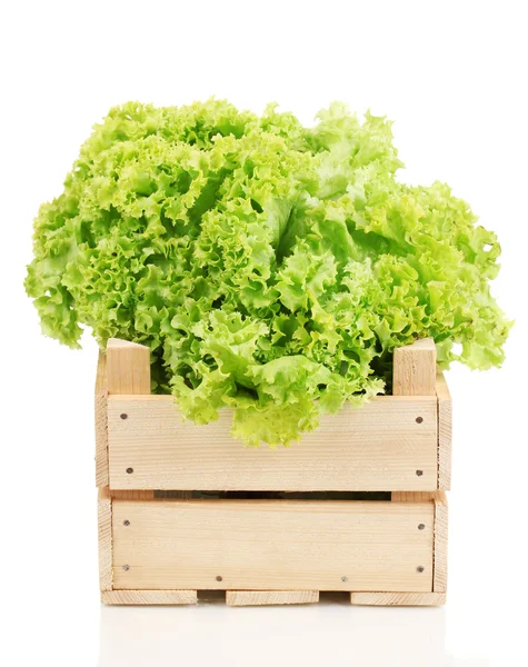 Frischer Salat in Kiste isoliert auf weiß — Stockfoto