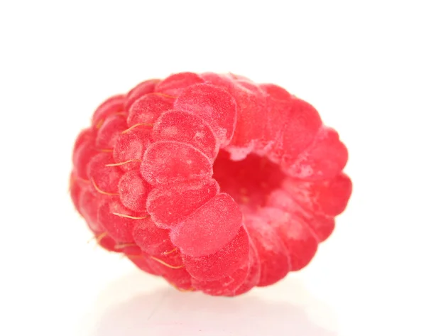 在白色背景特写上孤立的新鲜树莓 — 图库照片