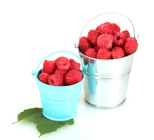 Fresh raspberries in buckets isolated on white — Stock Photo, Image