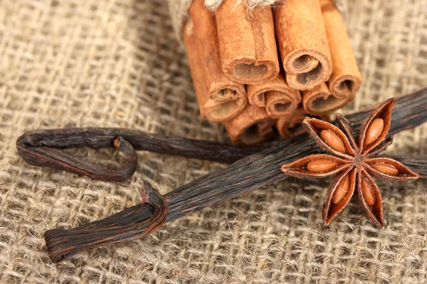 Vanilla pods with spices on canvas background close-up