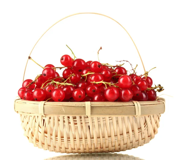 Ribes rosso in un cestino isolato su bianco — Foto Stock