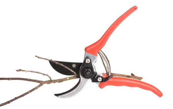 Pruner with branch isolated on white — Stock Photo, Image