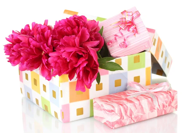 Peônias rosa beautirul em caixa de presente isolado em branco — Fotografia de Stock